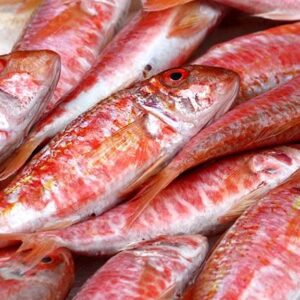 Red Mullet